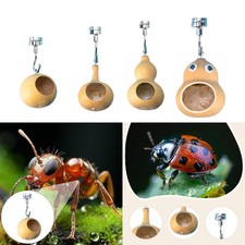 Nascondiglio del ragno