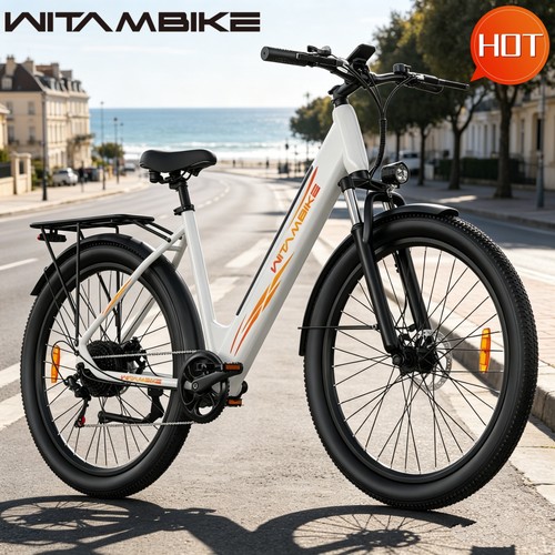 Bicicletta elettrica - , 29