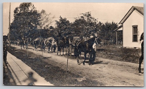 Cartolina epoca sfilata - d'epoca,