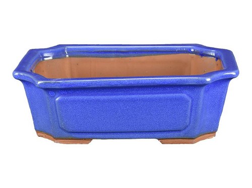 Vaso per bonsai rettangolare