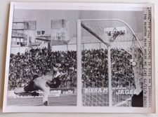Foto Calcio UDINESE- ASCOLI 1° Gol di Catellani - 4/11/1979 -Associated Press-N3