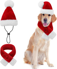 Cappello Babbo Natale Cane Con