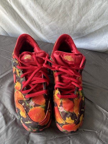 Nike dunk low pro wizard - dunk, of