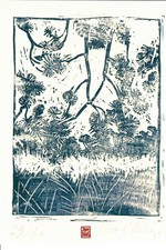 EX-LIBRIS HERBES FOLLES & PAYS