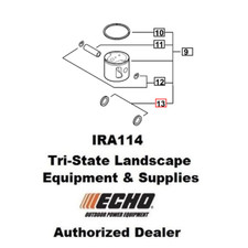 P021010260 Echo Kit pistone