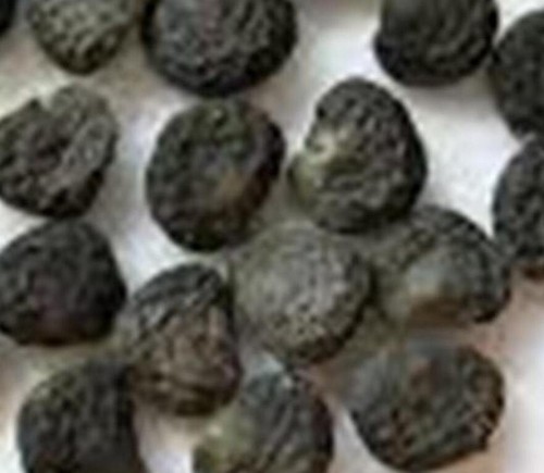 Semi datura nera per - di,
