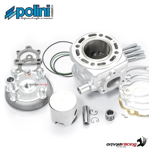 Gruppo termico polini cc - gruppo,