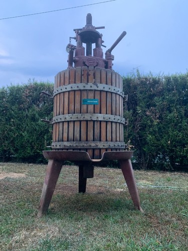 Torchio idraulico bosello - torchio,