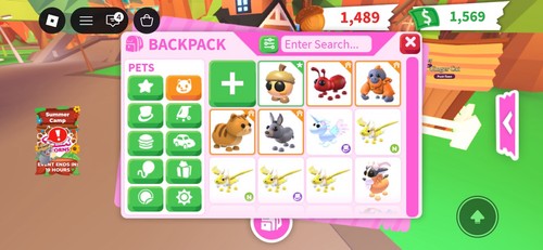 All adopt pets and - me,