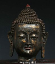 Statua busto testa di Buddha Sakyamuni Shakyamuni Amitabha bronzo tibetano antico 11,8"