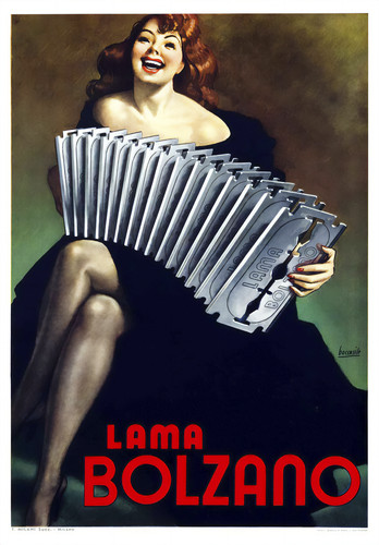 Poster lama bolzano - poster,