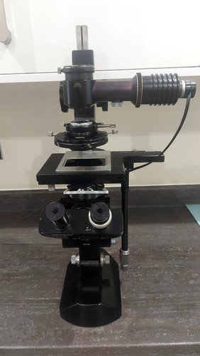 Wild heerbrugg m40 microscopio - heerbrugg,