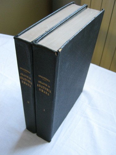 Atlante manuale anatomia - manuale,