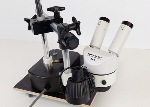 Wild heerbrugg microscopio - m1,