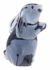 Animale Coniglio Collezione