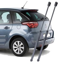 MOLLE A GAS PISTONCINI PORTA