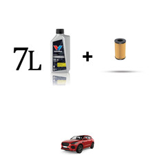 Kit filtro olio e 7L per