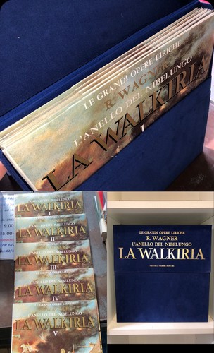 Walkiria grandi opere - walkiria,