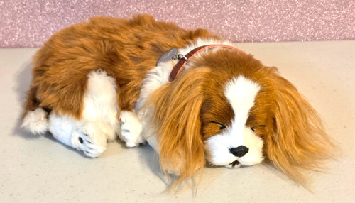 Perfetto petzzz cavalier king - perfetto,