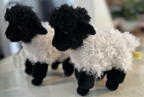 Peluche aurora miyoni - miyoni, suffolk