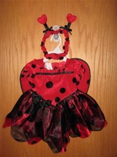 Costume halloween koala - costume,