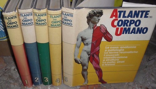 Atlante del corpo umano - atlante,