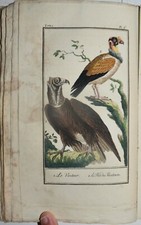 BUFFON - fig. 1792 - UCCELLI