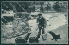 Roma Città Giardino Zoologico Otarie California Orsine cartolina MX2644