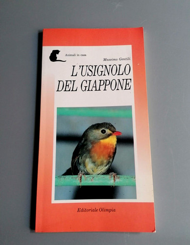 Usignolo del giappone - l'usignolo,
