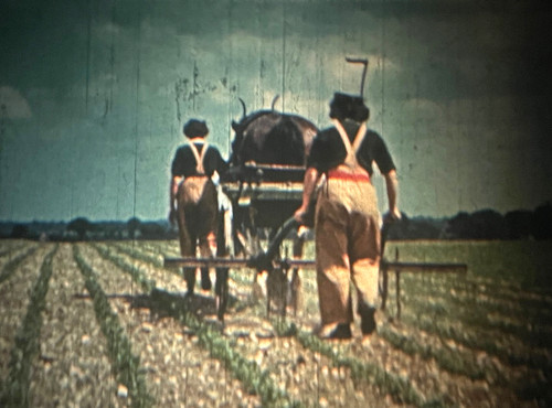 16mm kodachrome ww2 silent - 16mm,