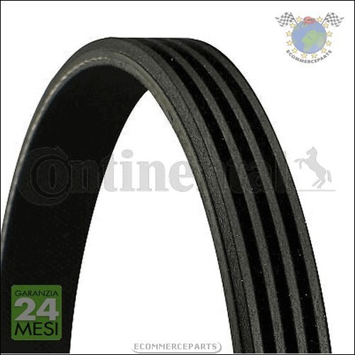 Cinghia alternatore servizy