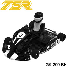 Team Saxo GK-200 1/8 RC Go