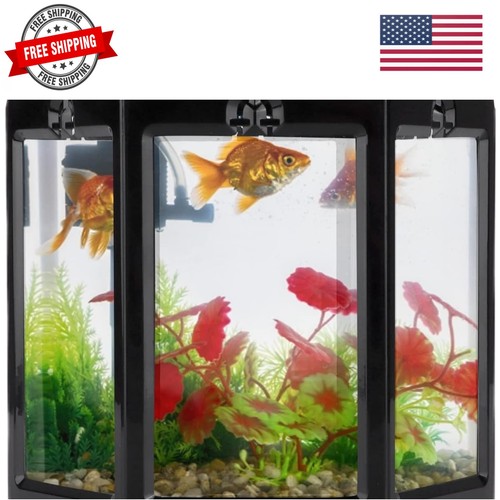 Betta kit avviamento acquario - kit,