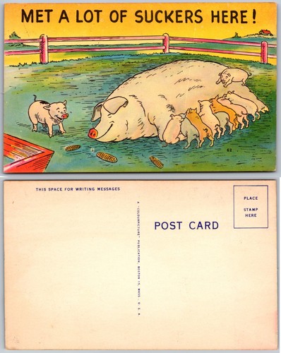 Cartolina umorismo - cartolina,
