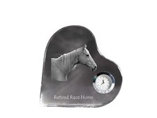 Cavallo da corsa in pensione