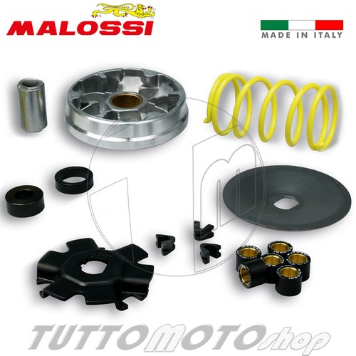 Variatore malossi multivar - variatore,