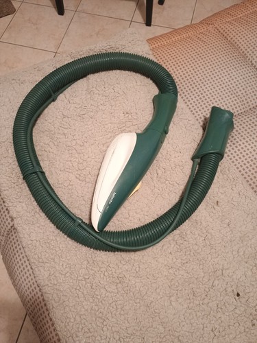Picchio folletto - picchio,