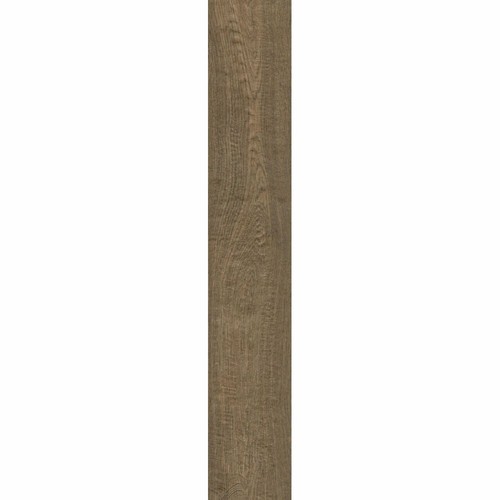 Campione marazzi vero rovere - campione,
