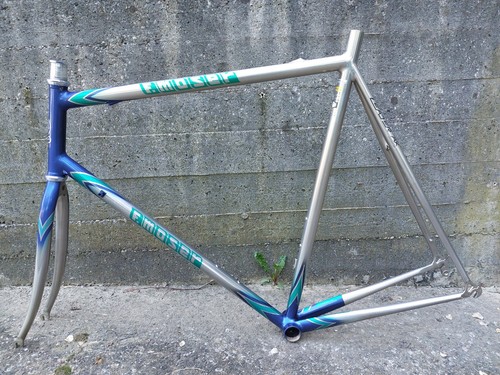 Telaio vintage francesco moser - vintage,
