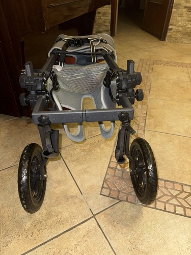 Sedia rotelle per cani xl - sedia,
