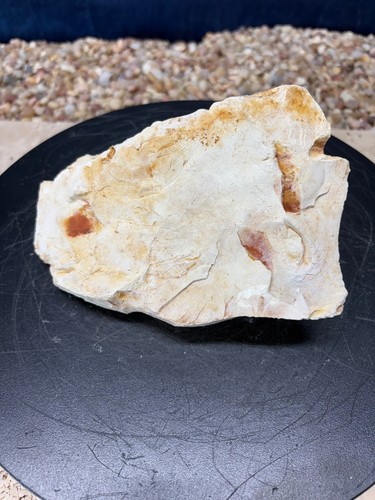 Fort payne chert - fort,