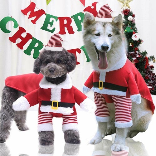 Costume animali natale - animali, di
