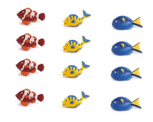Calamite pesce tropicale - pesce,