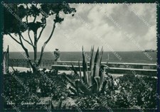 Trani Città FG Foto cartolina