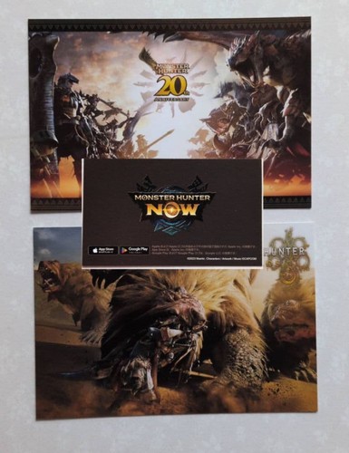 Monster hunter 20th - hunter,