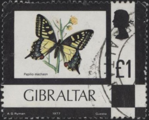 Gibilterra 1977 nature - nature, £1