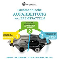 Revisione Pinza Freno