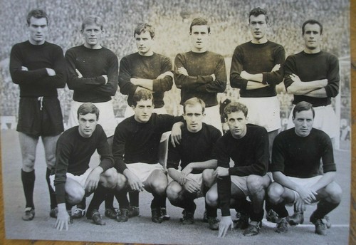 Formazione squadra torino toro - formazione,
