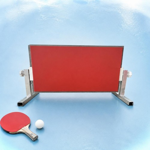 Allenatore table tennis - table,
