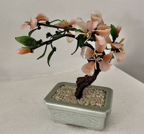 Bonsai filo fiori - filo, cinese